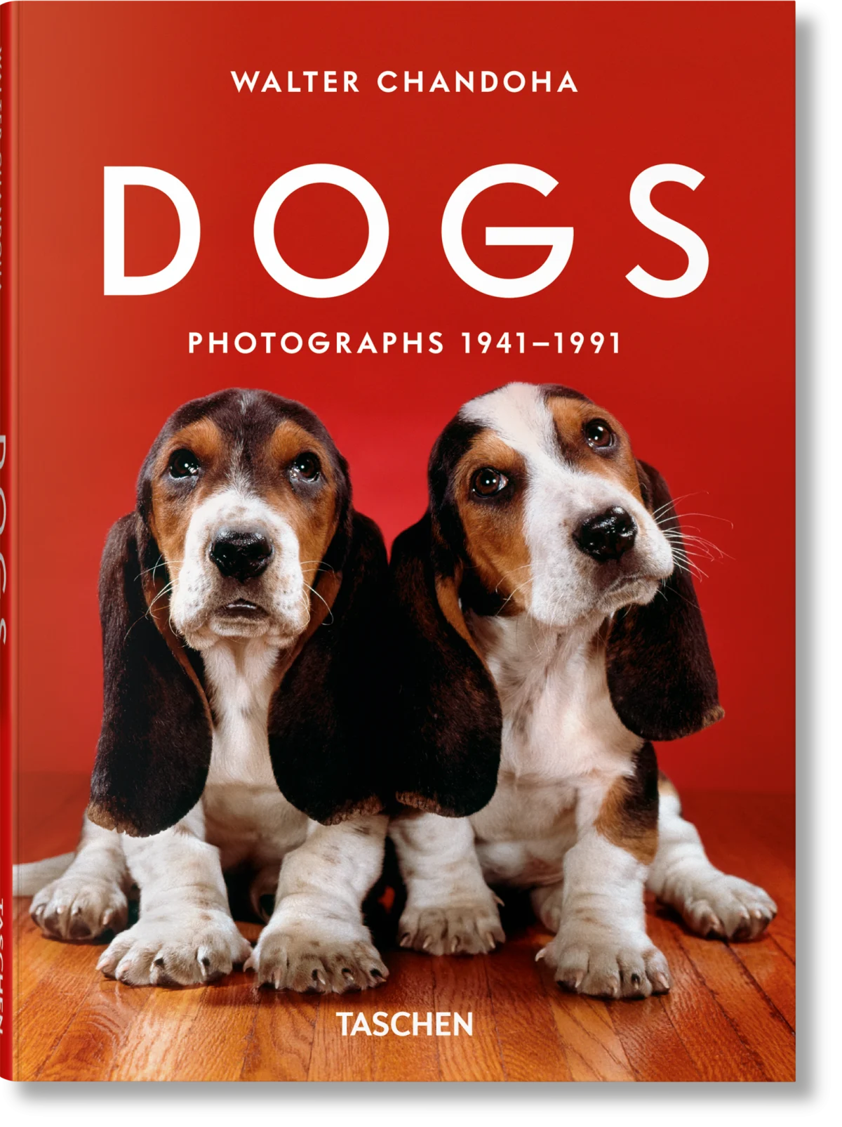 Book Dogs Photographs (Englisch)