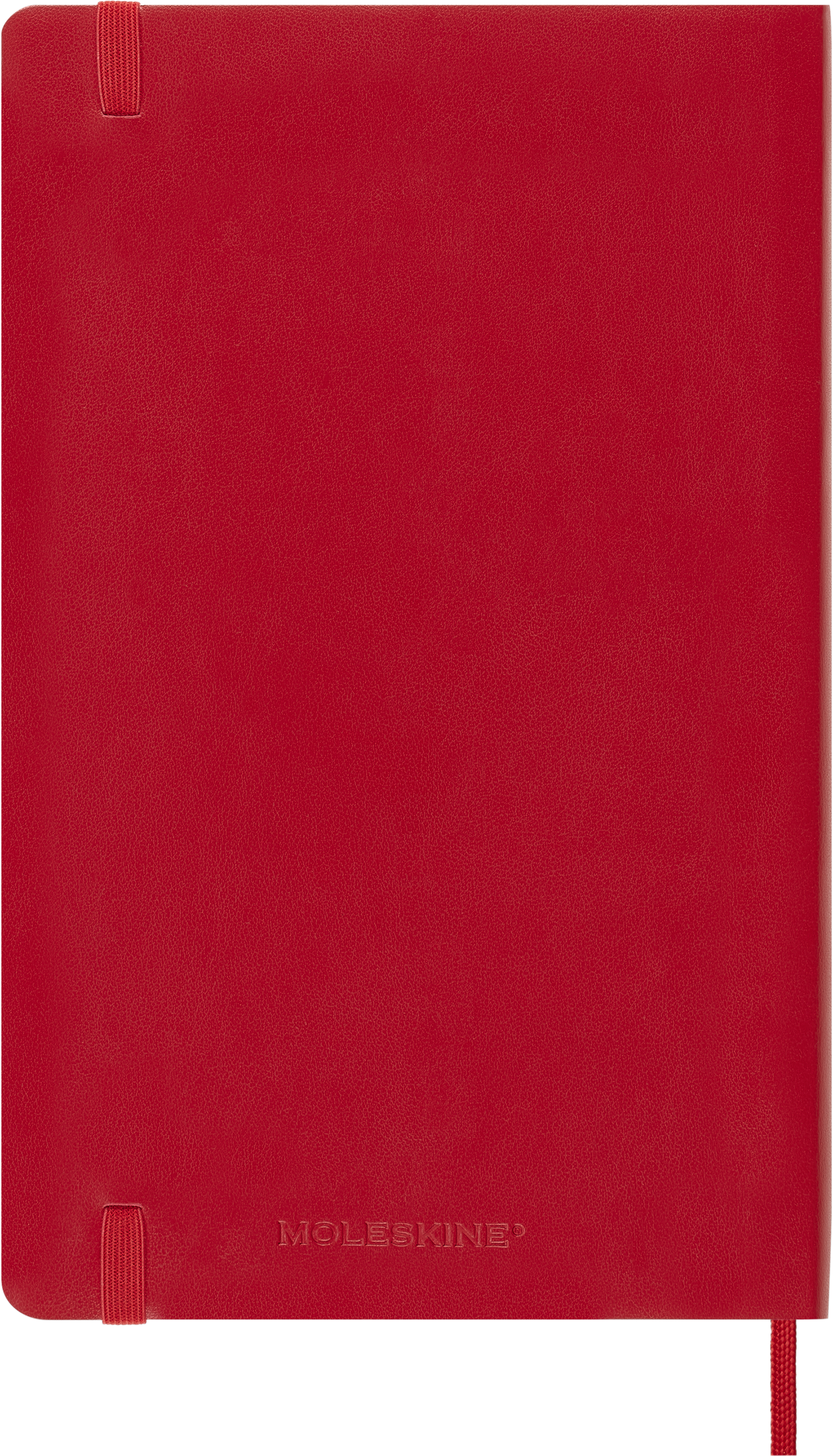 Moleskine 2024 diary softcover large day