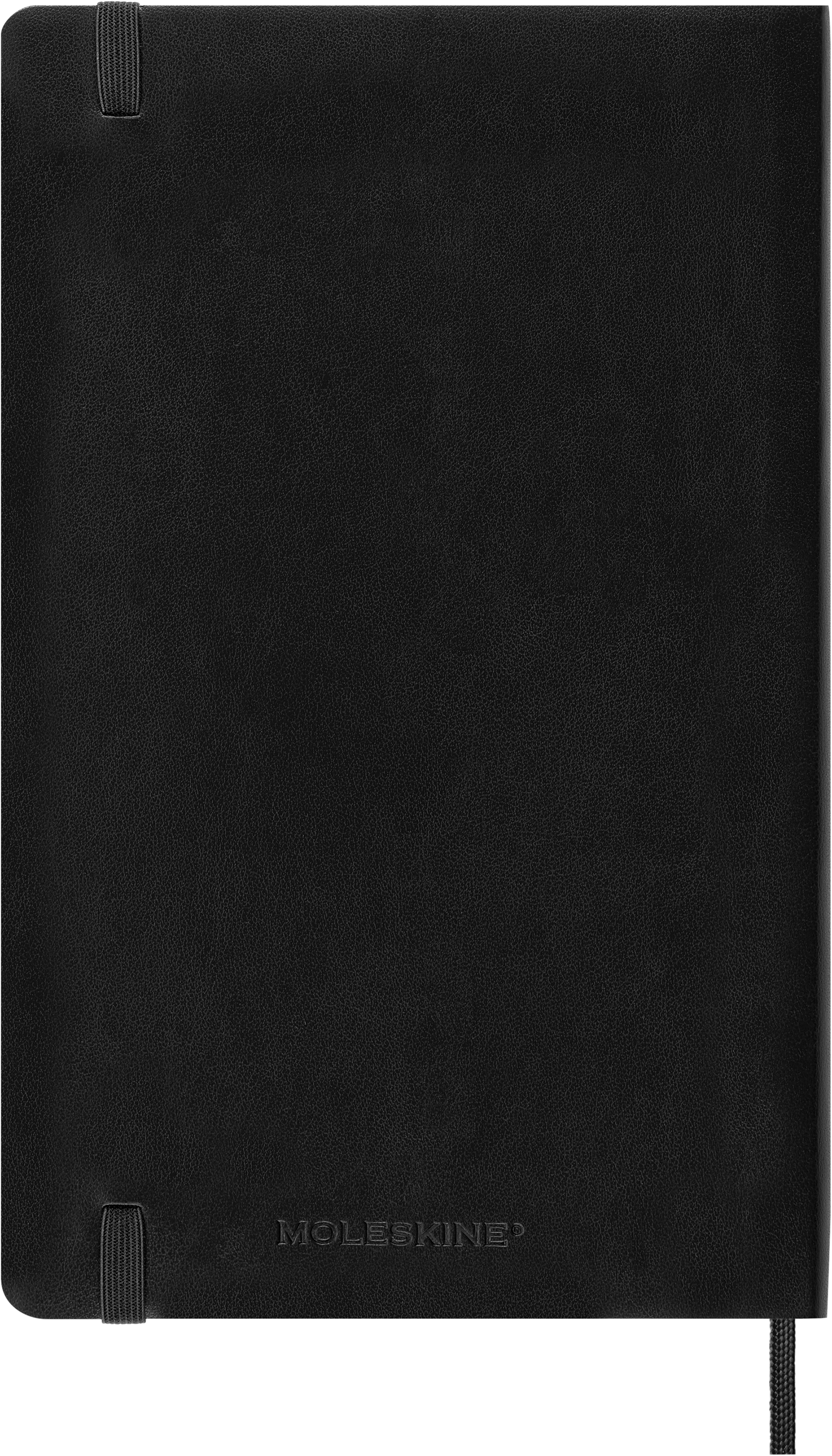 Moleskine 2024 diary softcover large week on 2 pages