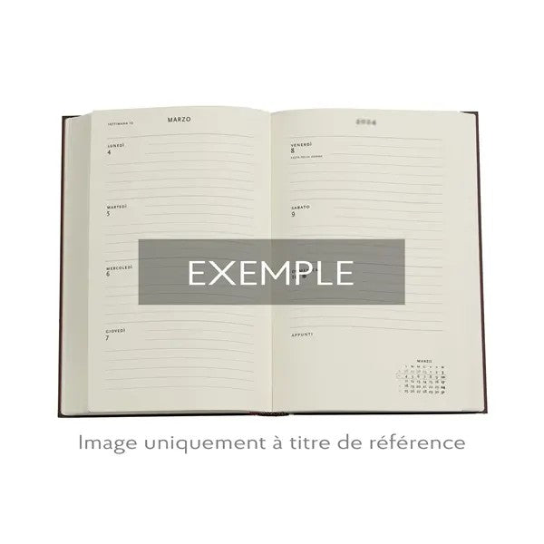 Paperblanks 2026 Agenda Softcover Midi Foliedruk