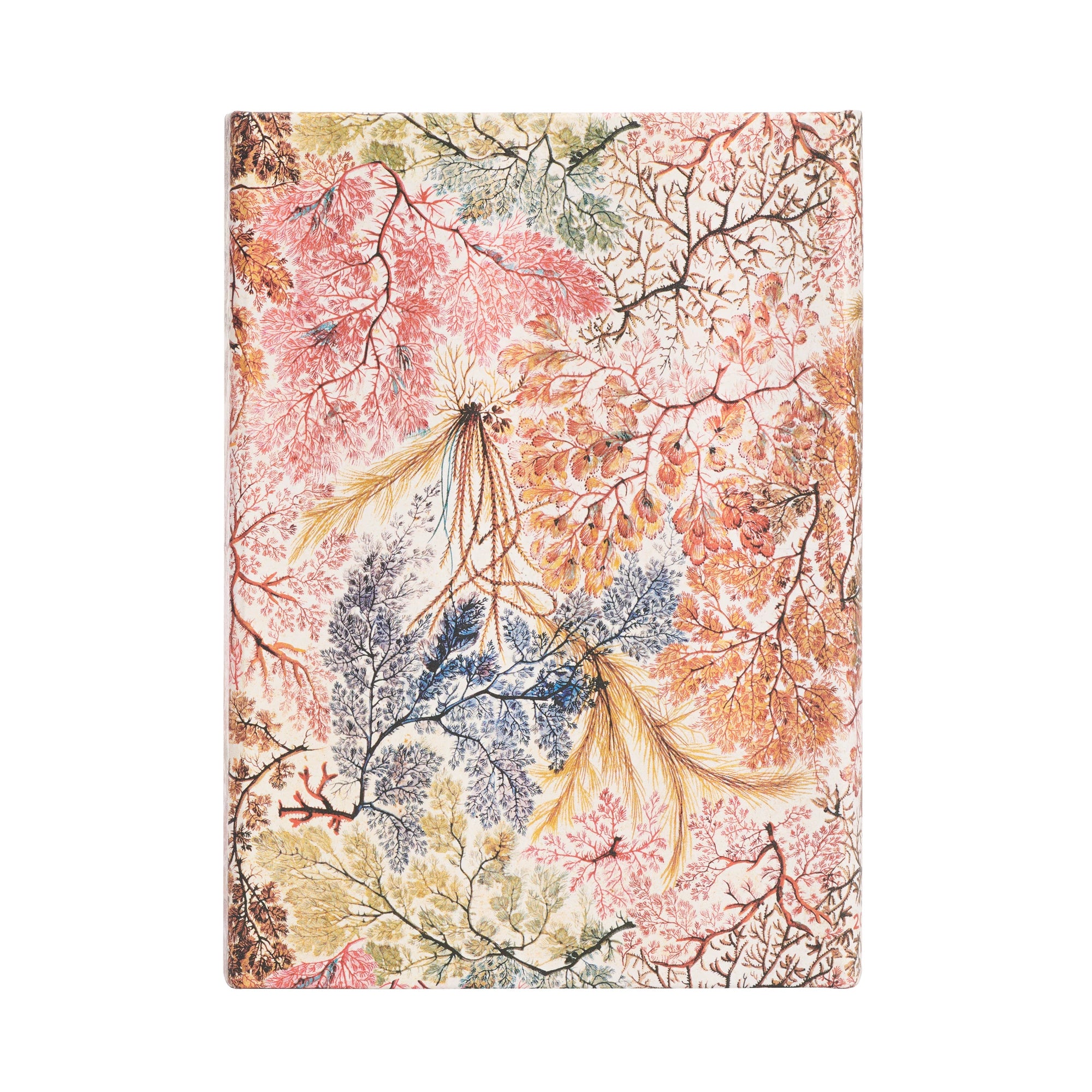 Paperblanks 2024 diary hardcover midi Anemone