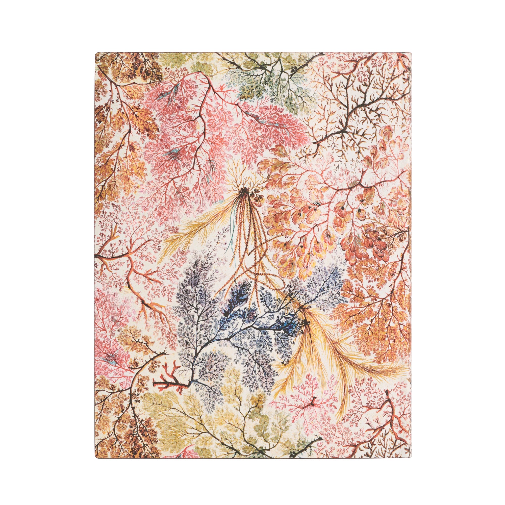 Paperblanks 2024 diary softcover ultra Anemone