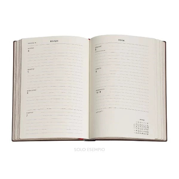 Paperblanks 2024 diary hardcover midi Jungle Song