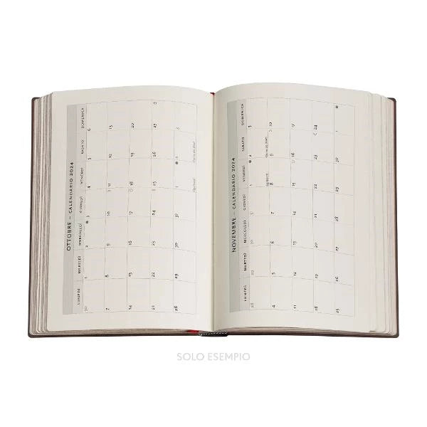 Paperblanks 2024 diary hardcover midi Jungle Song