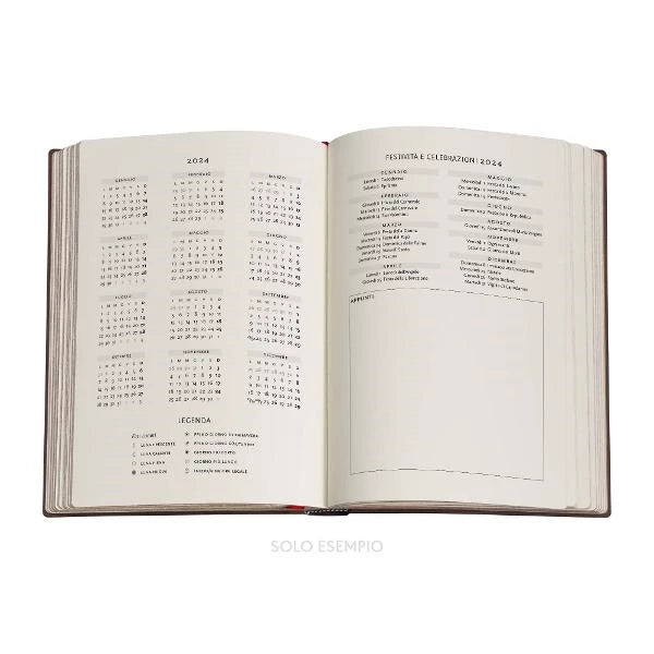 Paperblanks 2024 diary hardcover midi Jungle Song