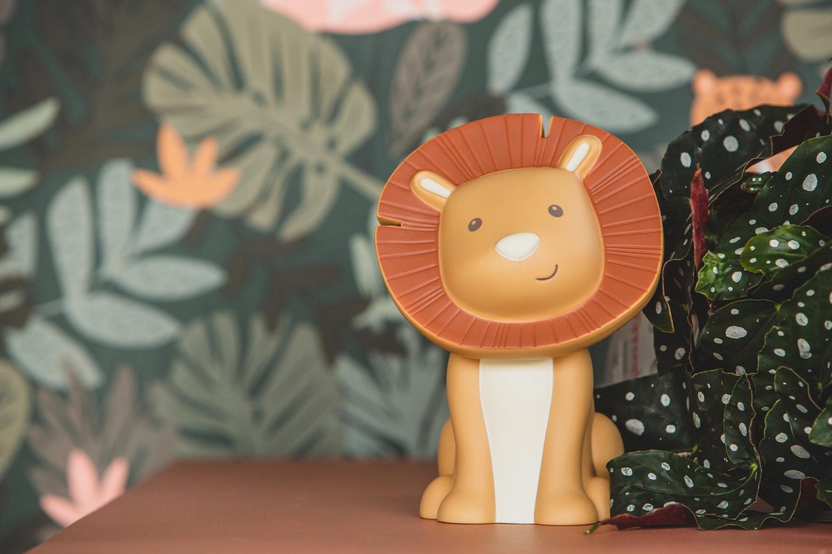 Coin Bank Hakuna