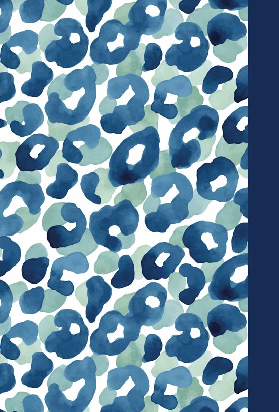 Dagboek A6 met hangslotje Lijn