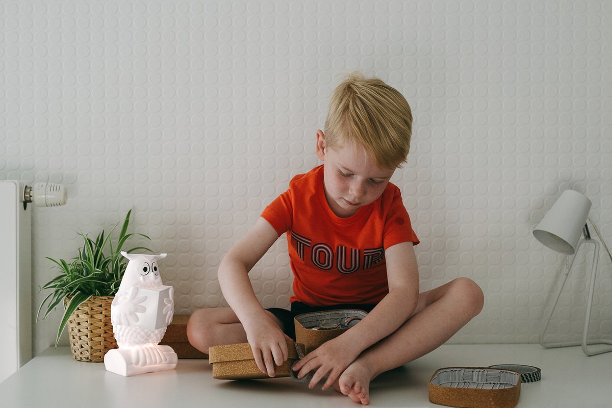 Rechargeable LED Light Bedroom Meneer de Uil