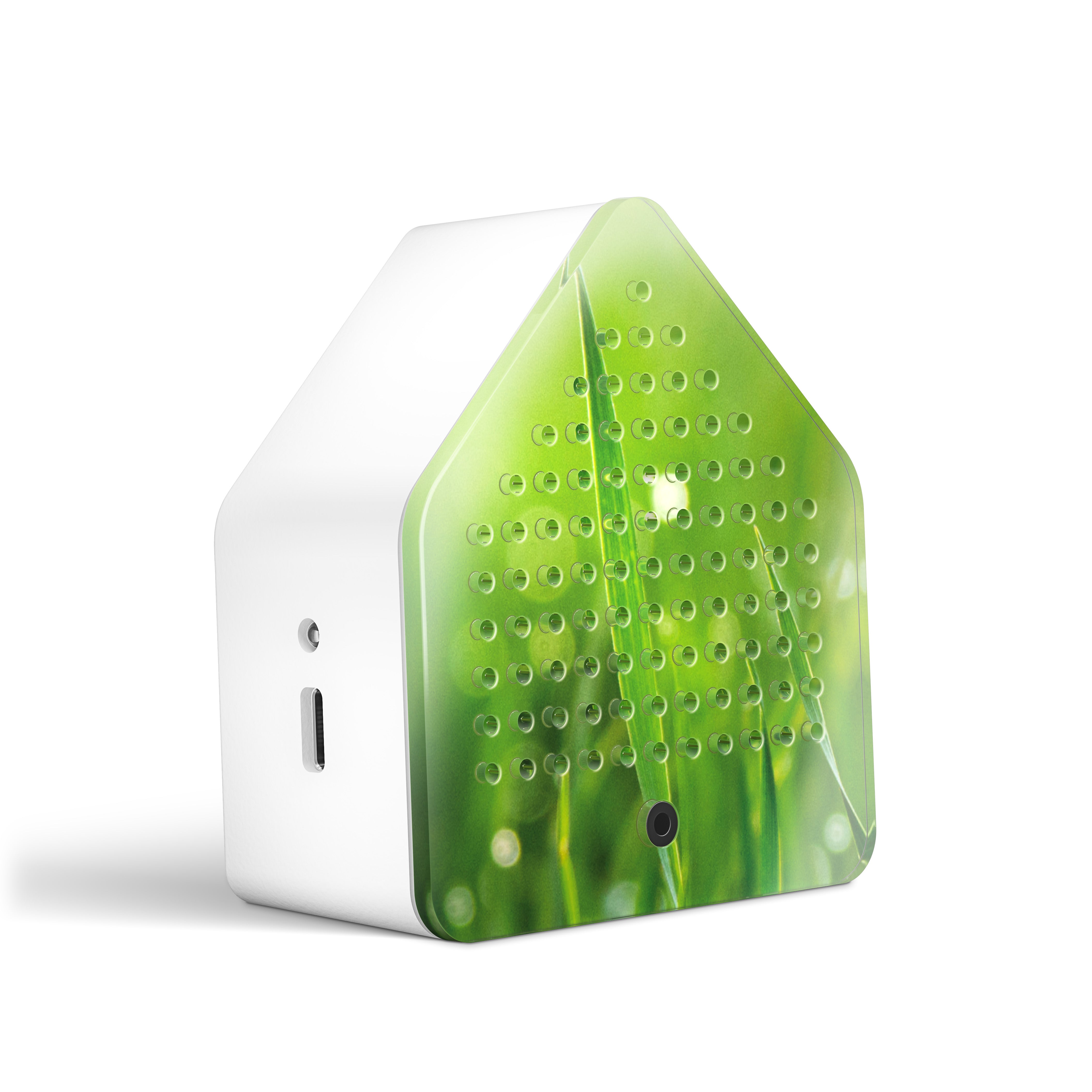 Zwitscherbox Zirpy Box Weide