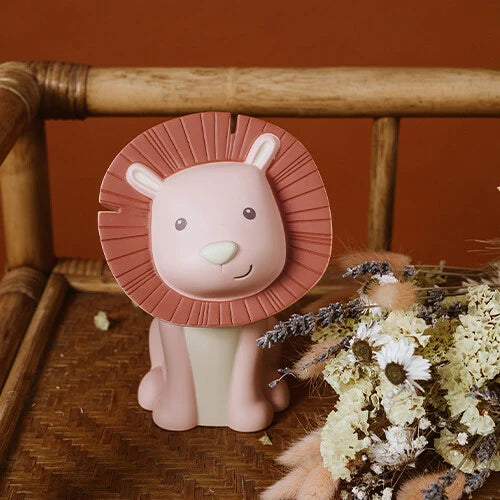 Coin Bank Hakuna