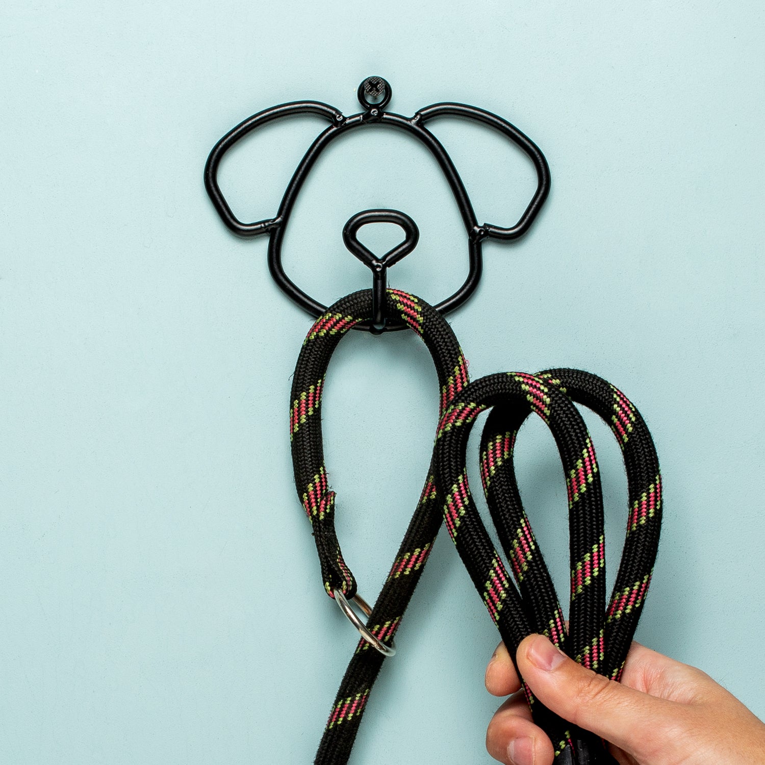 Dog Leash Hook Kobe