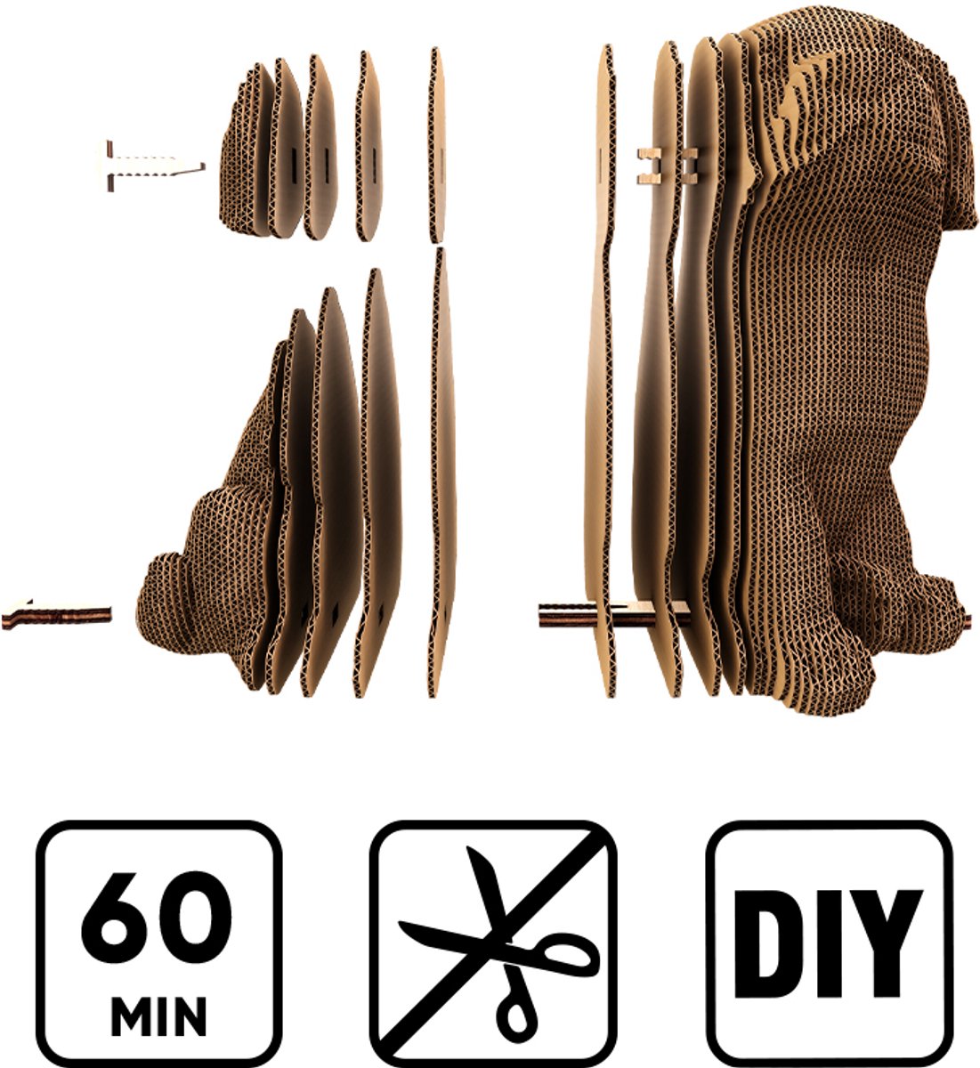 3D Kartonnen puzzel: Labrador puppy