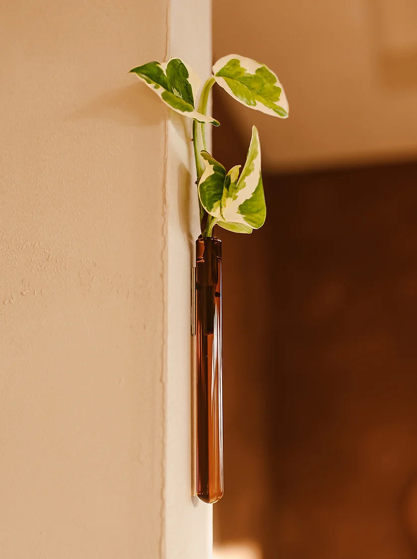 Muurbloempjes Vase (Wallfowers) Amber