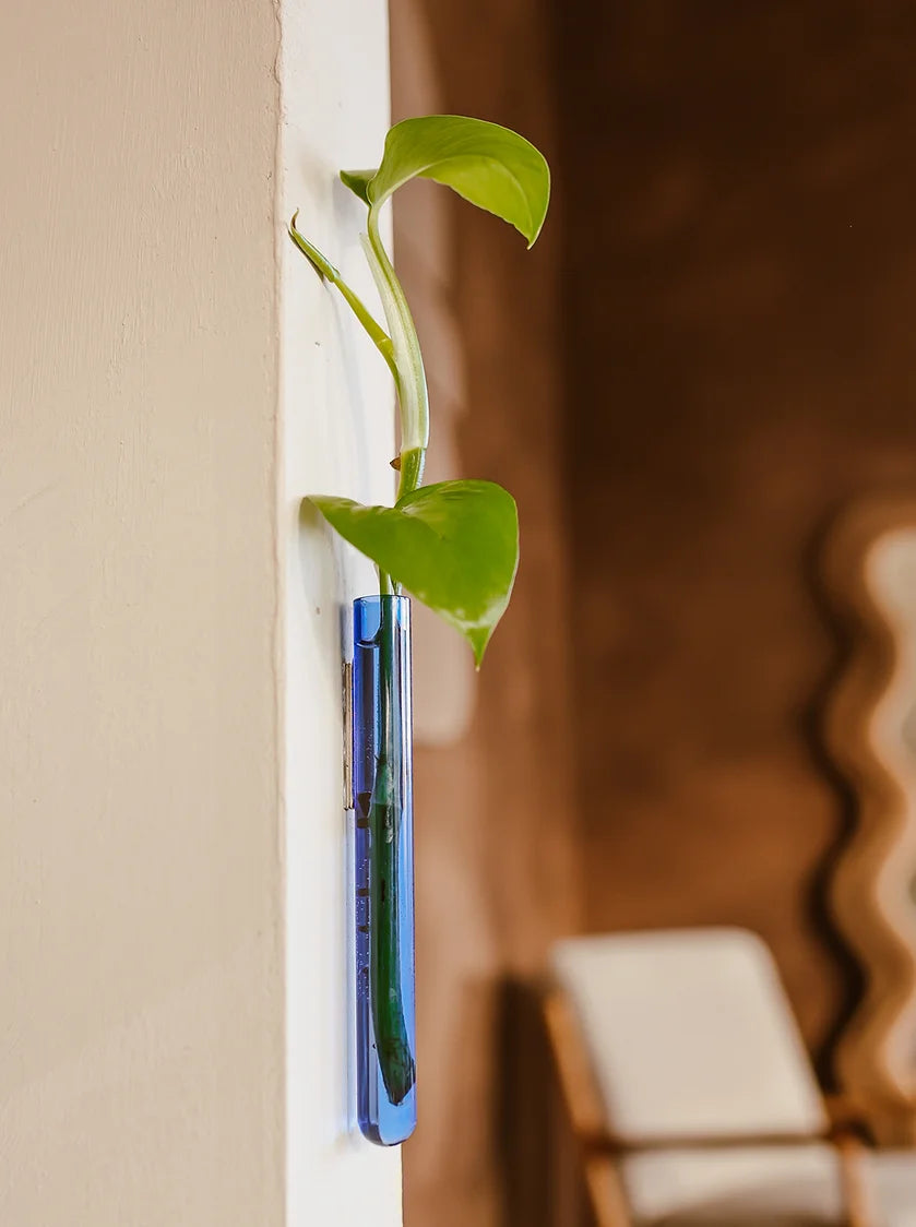 Muurbloempjes Vase (Wallfowers) Light Blue