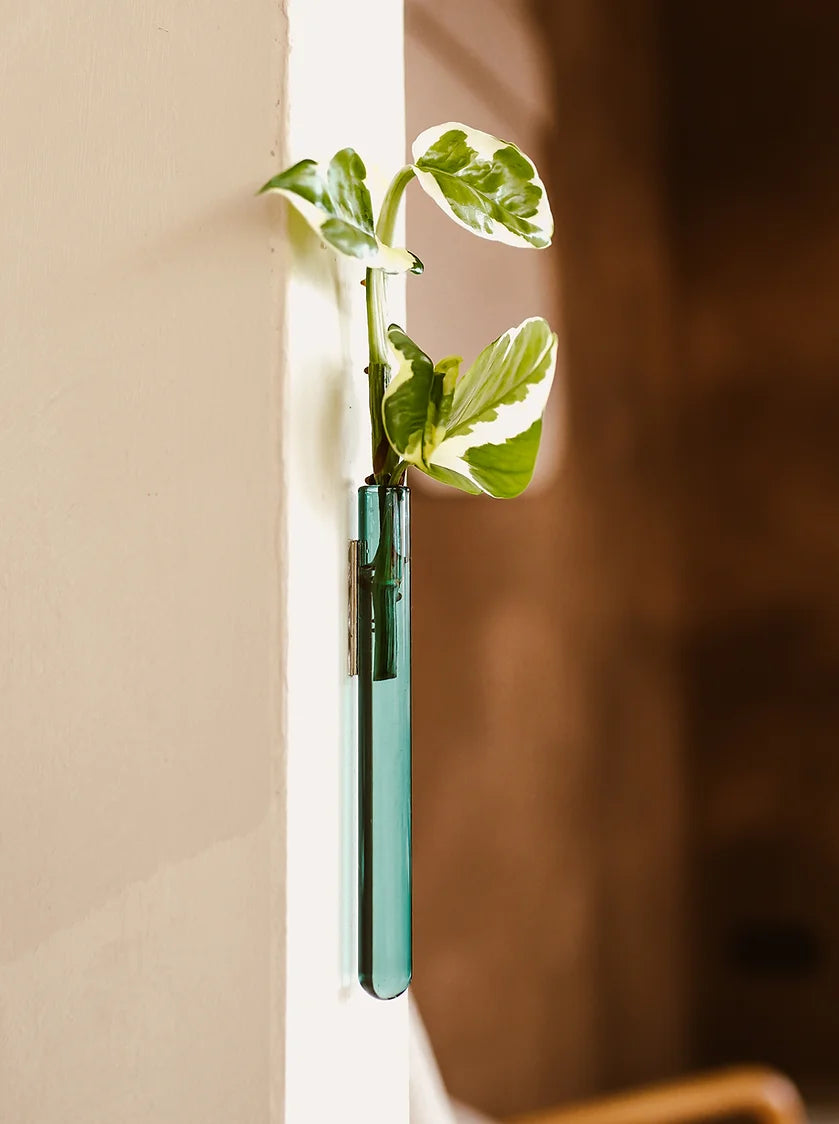 Muurbloempjes Vase (Wallfowers) Green