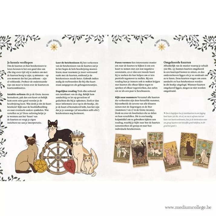 Mystieke Katten Tarot - Tarot Card Game