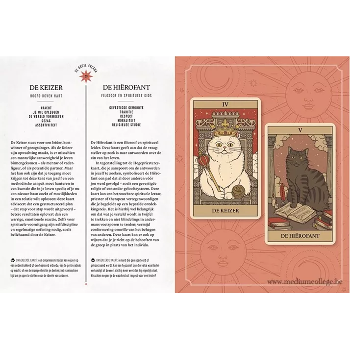 Mystieke Katten Tarot - Tarot Card Game