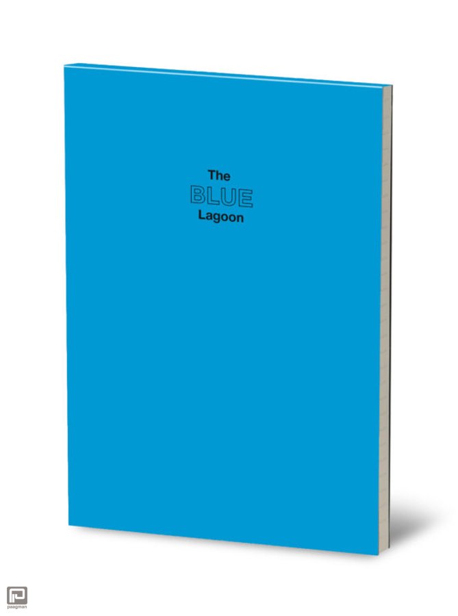 Notitieboekje Prisma Colors Lijn