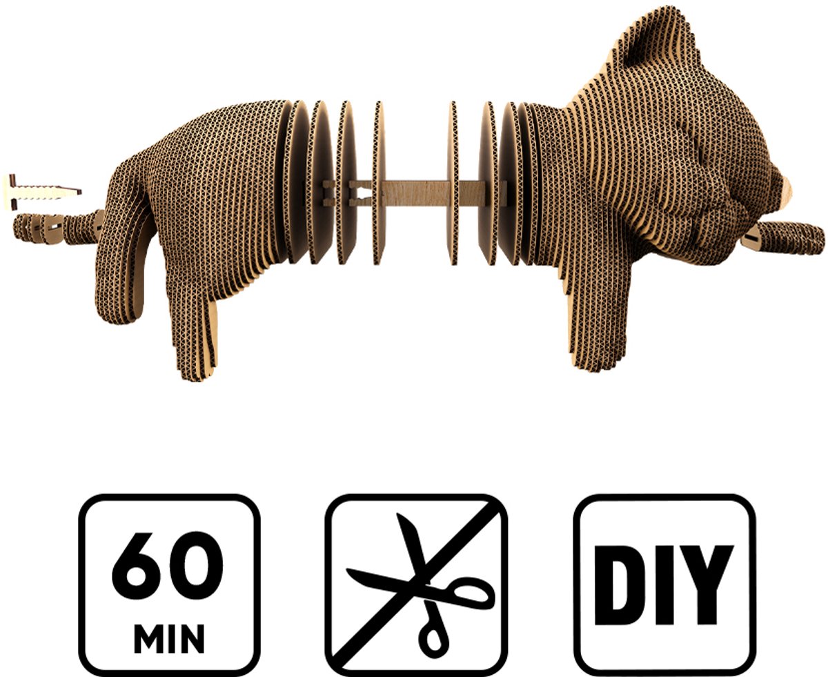 123 3D Kartonnen Puzzel: Slapende Kitten