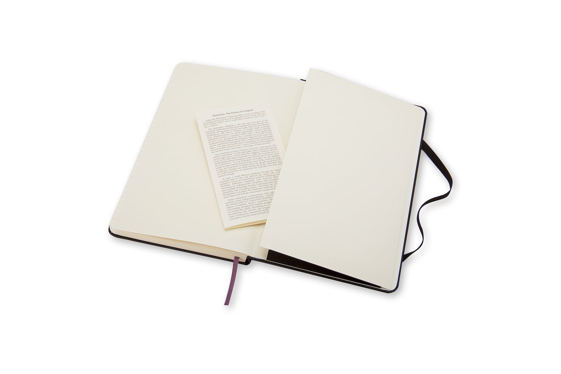 Moleskine notebook hardcover large lined