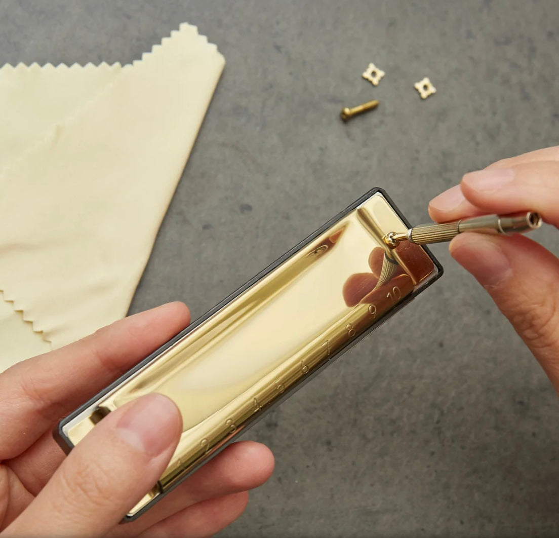 Harmonica DIY set