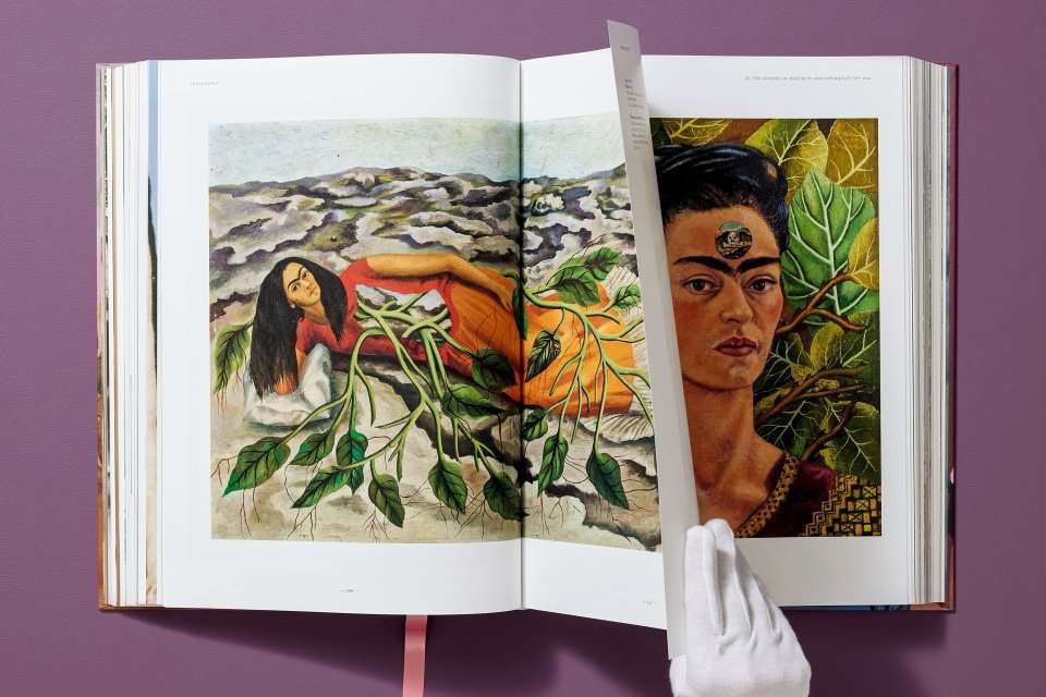 Boek Frida Kahlo De complete schilderijen