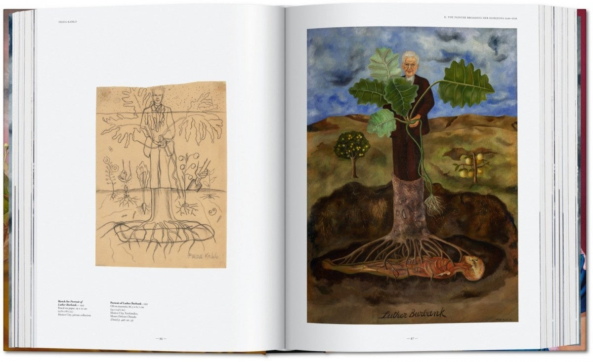 Boek Frida Kahlo De complete schilderijen