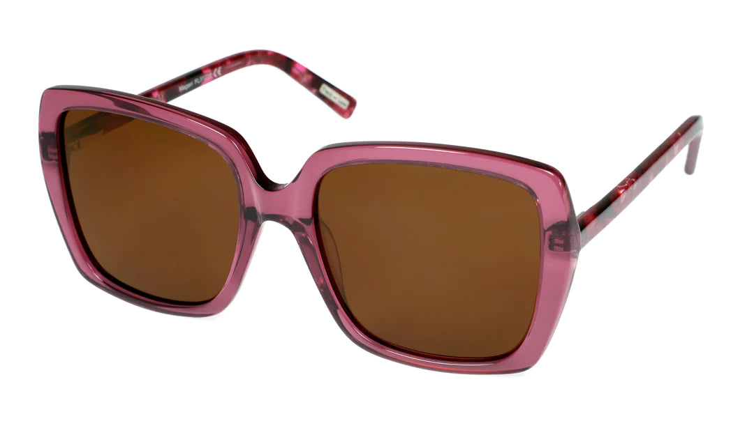 Sunday sunglasses best sale