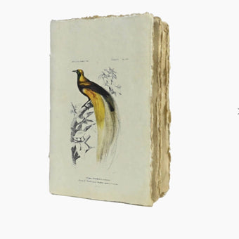 Epigram Notitieboekje A5 Blanco Vogel- of Kreeftmotief