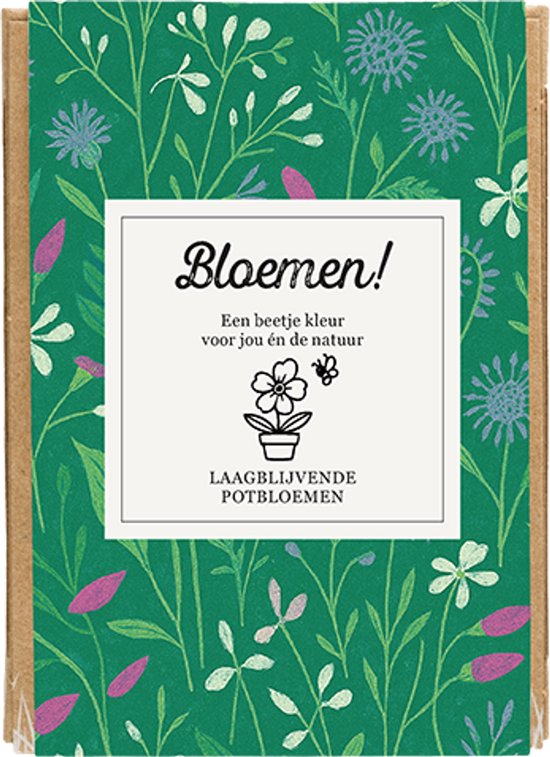 Blüten 4 in einer Mini-Geschenkbox