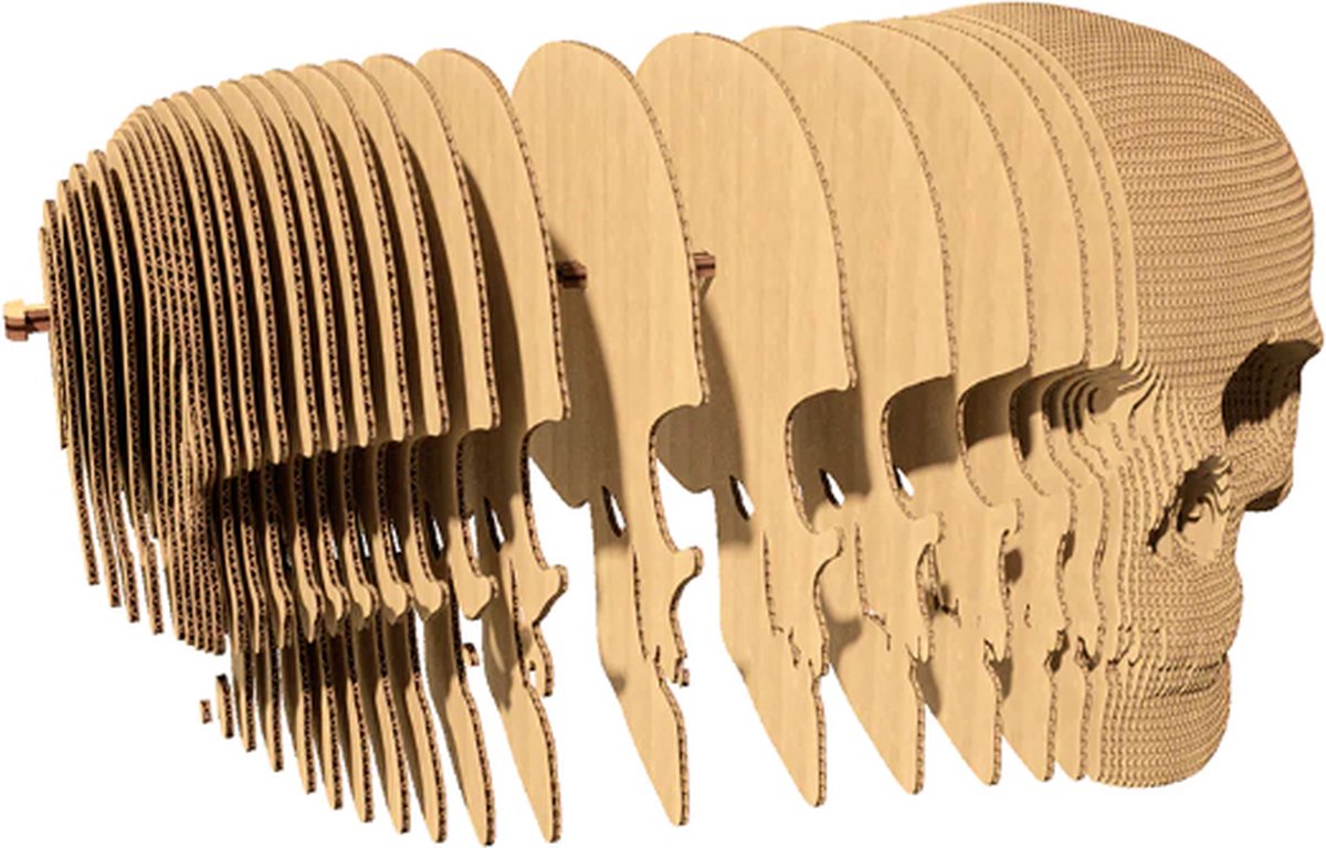 3D Kartonnen Puzzel: Schedel