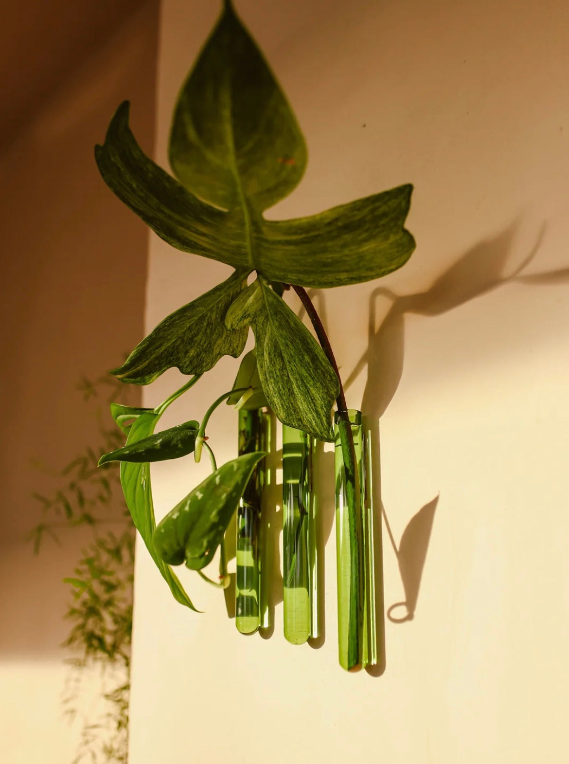 Muurbloempjes Vase (Wallfowers) Set of 3 light Green