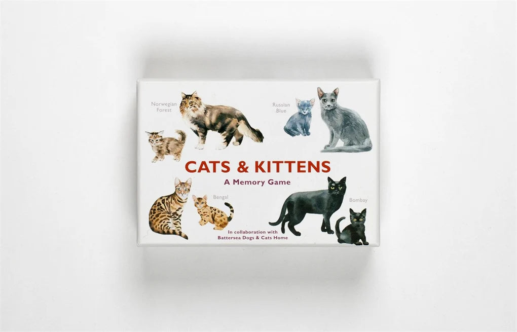 Memory Game Cats & Kittens