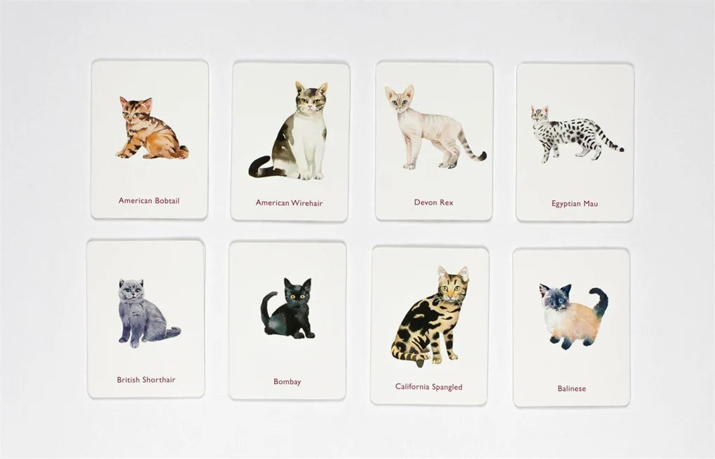 Memory Game Cats & Kittens