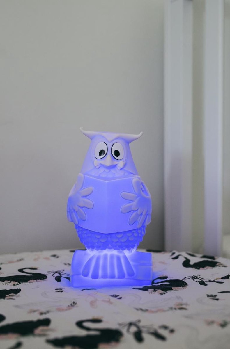 Rechargeable LED Light Bedroom Meneer de Uil