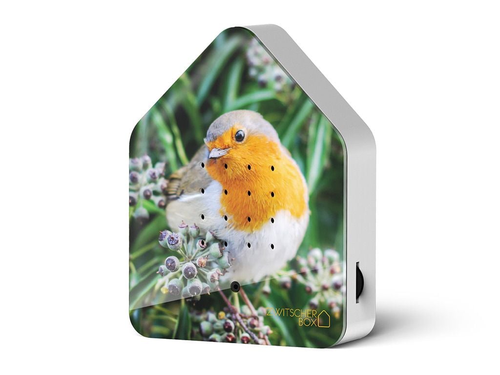 Zwitscherbox Limited Edition Robin Redbreast