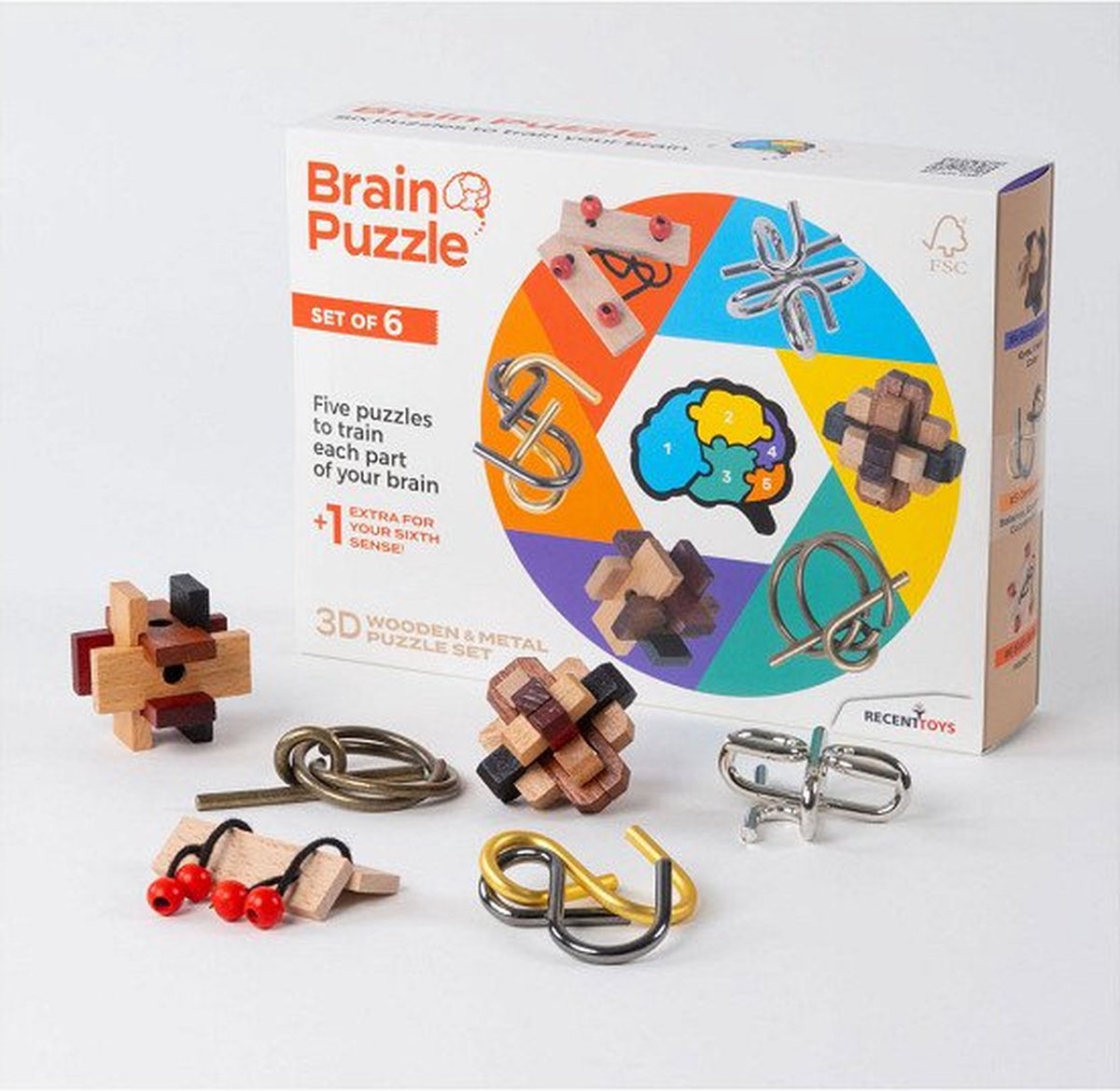 Brain Puzzle  Set of 6