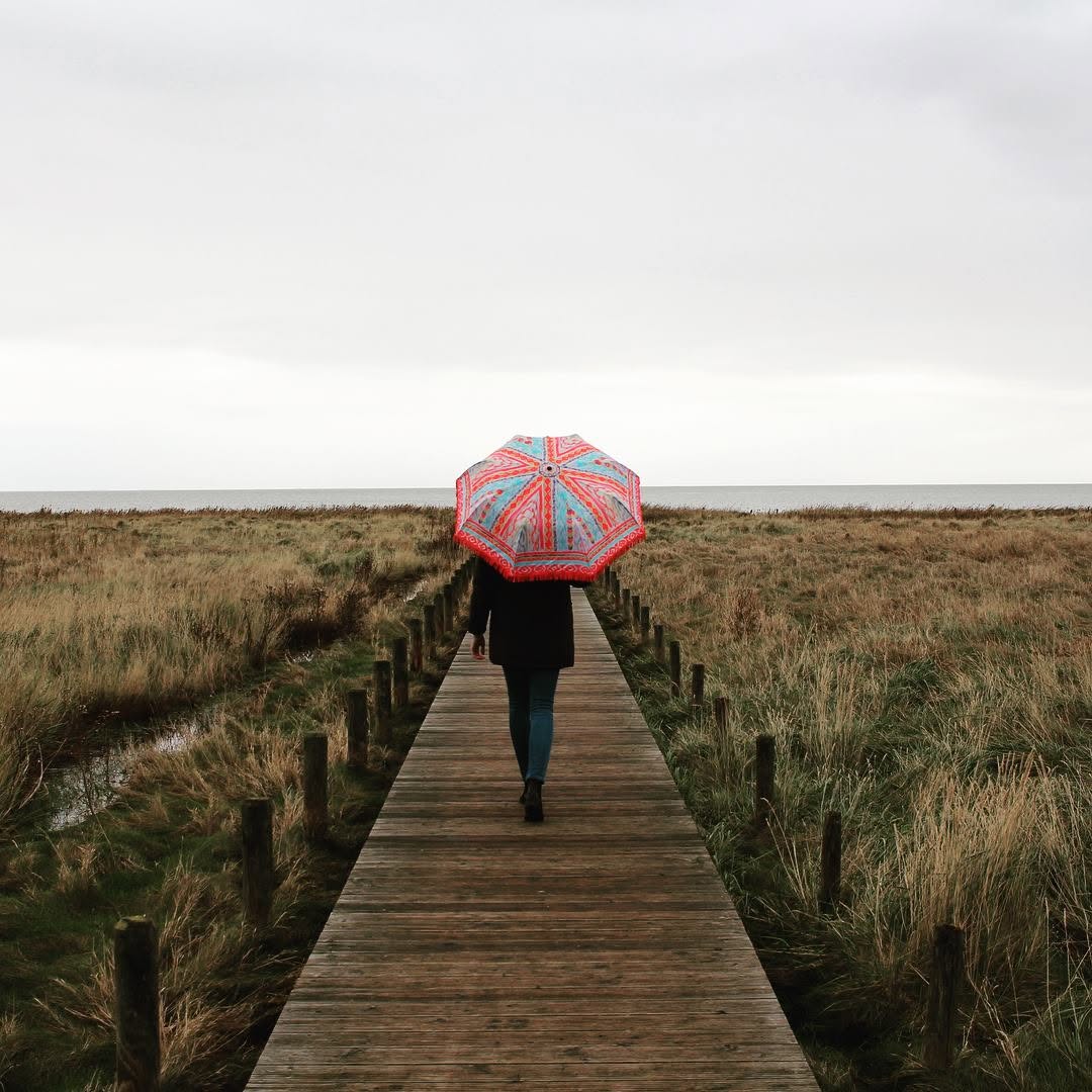 Cheerful Umbrella (2 options)