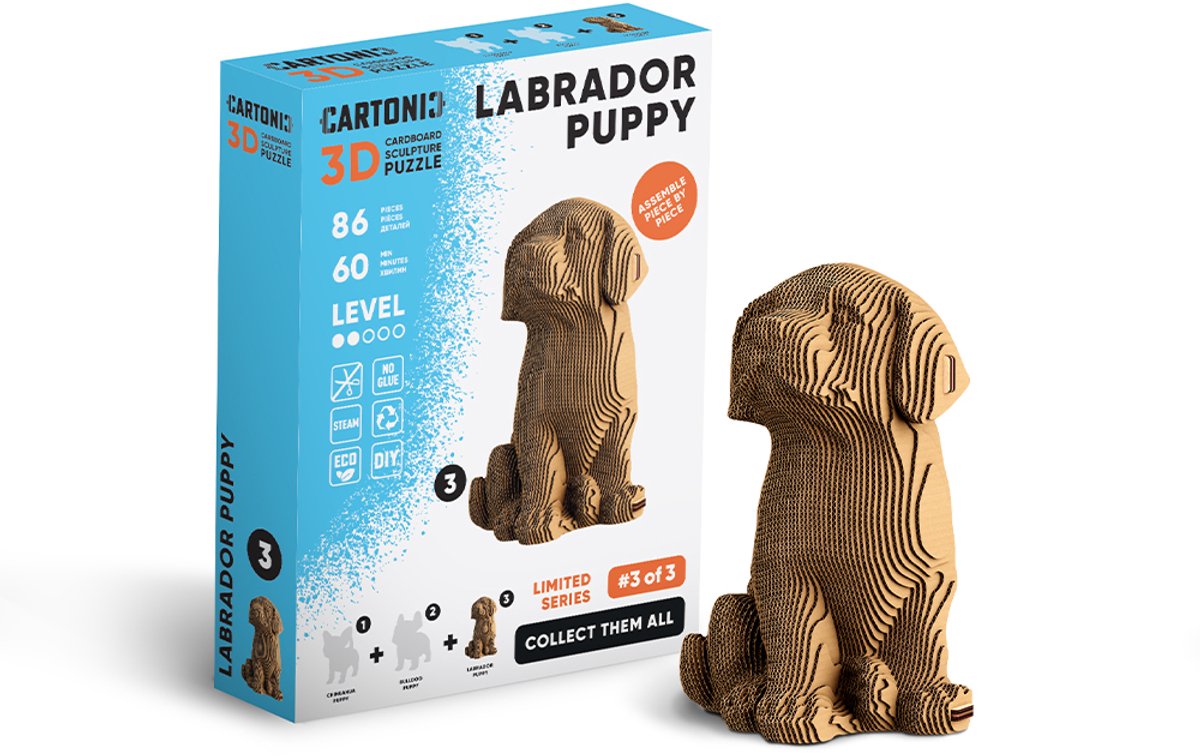 3D Kartonnen puzzel: Labrador puppy