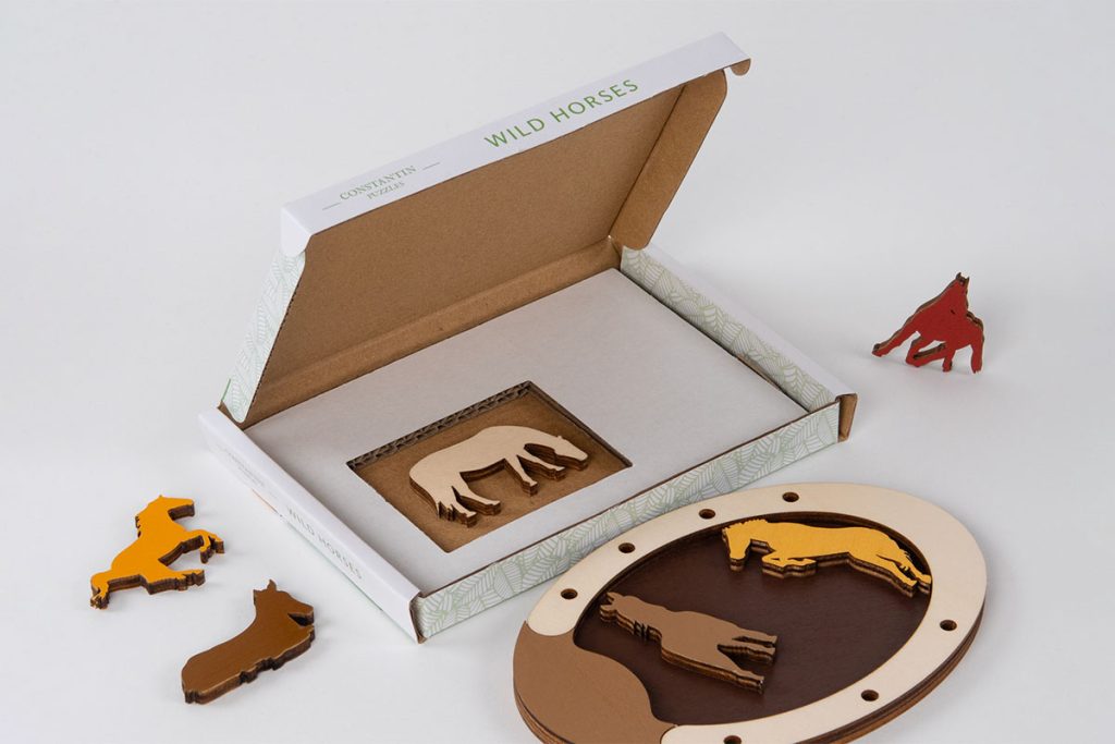 Constantin Puzzle Packing Problems