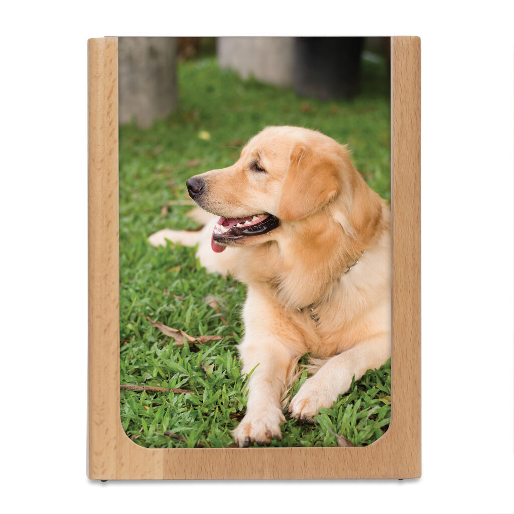 Pen Holder with Picture Frame