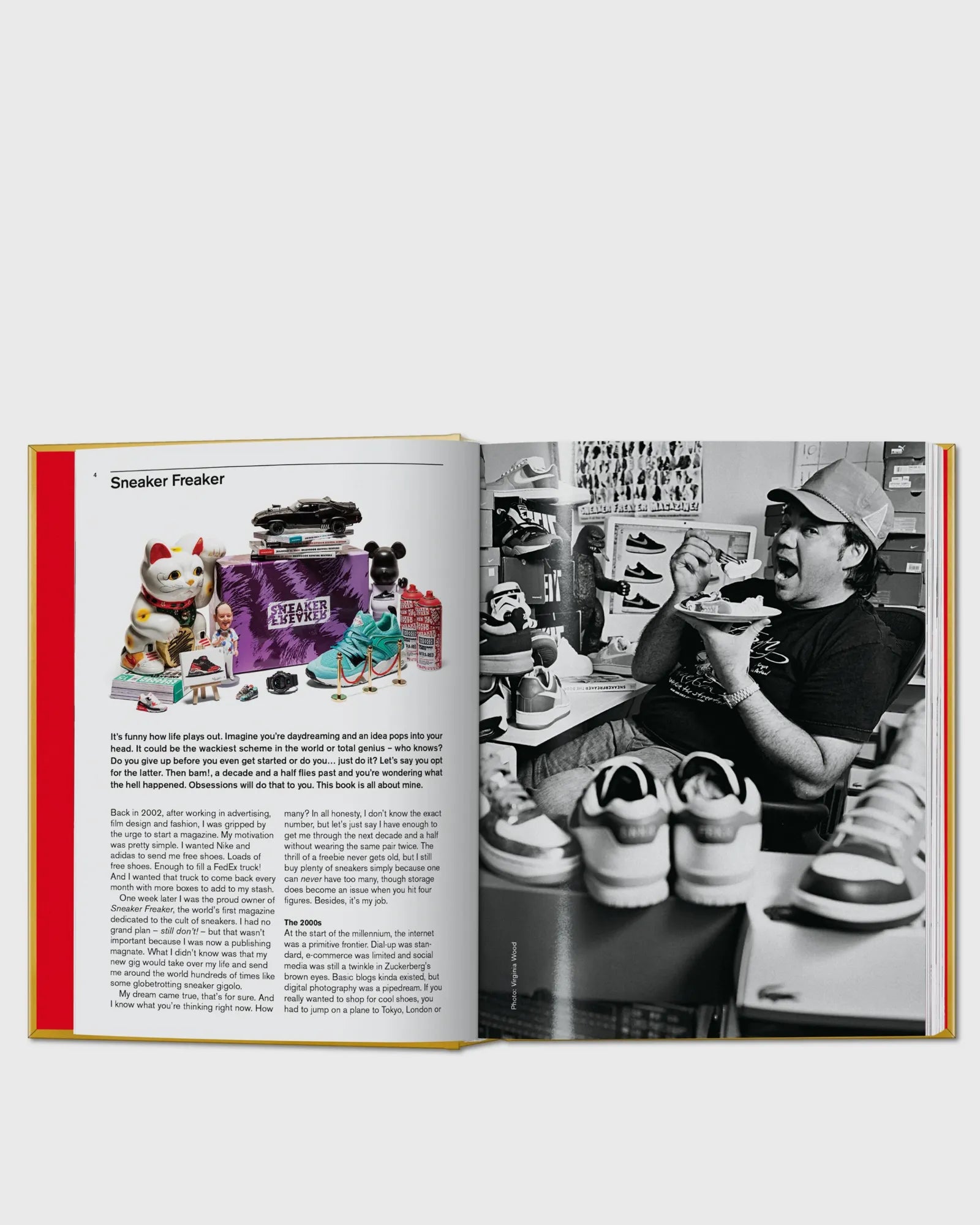 Ultimatives Sneaker-Buch