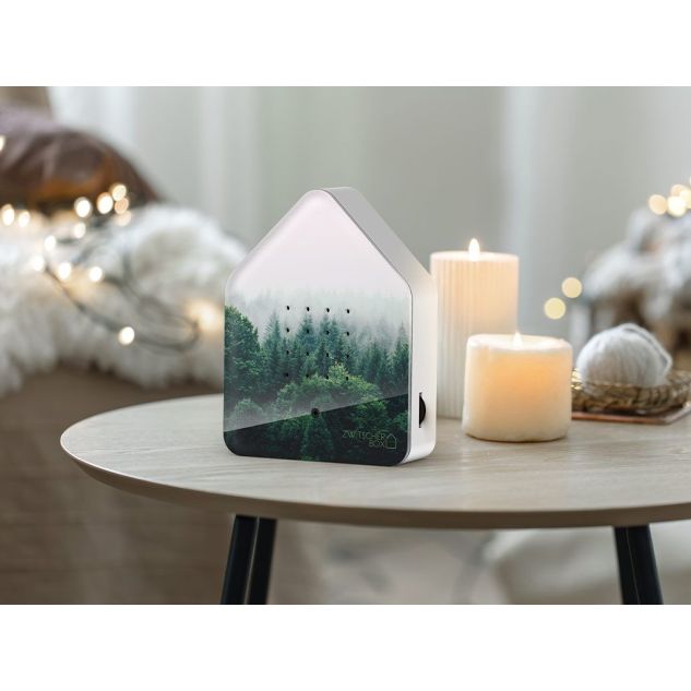 Zwitscherbox Morning Forest Limited Edition