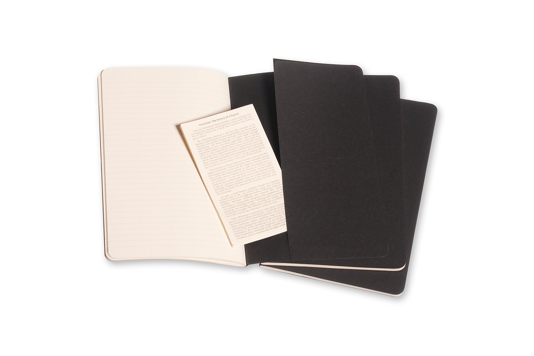 Moleskine Notebook Cahier Large Lined