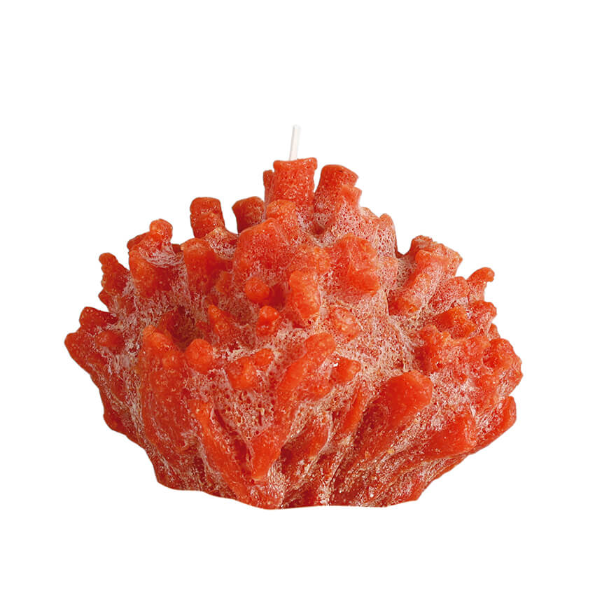 Cerabella Coral Candle