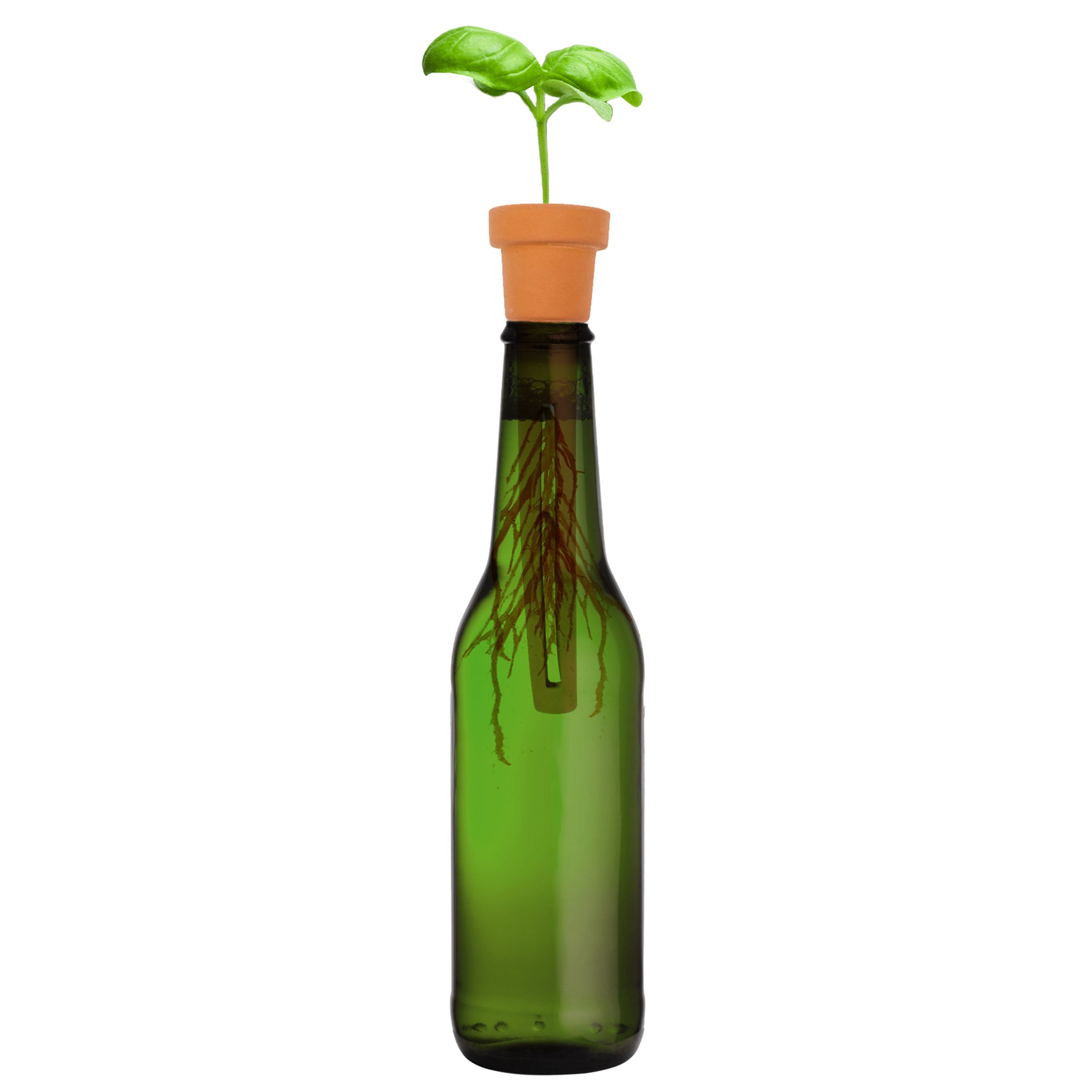Kruidenplantenbakken met fles