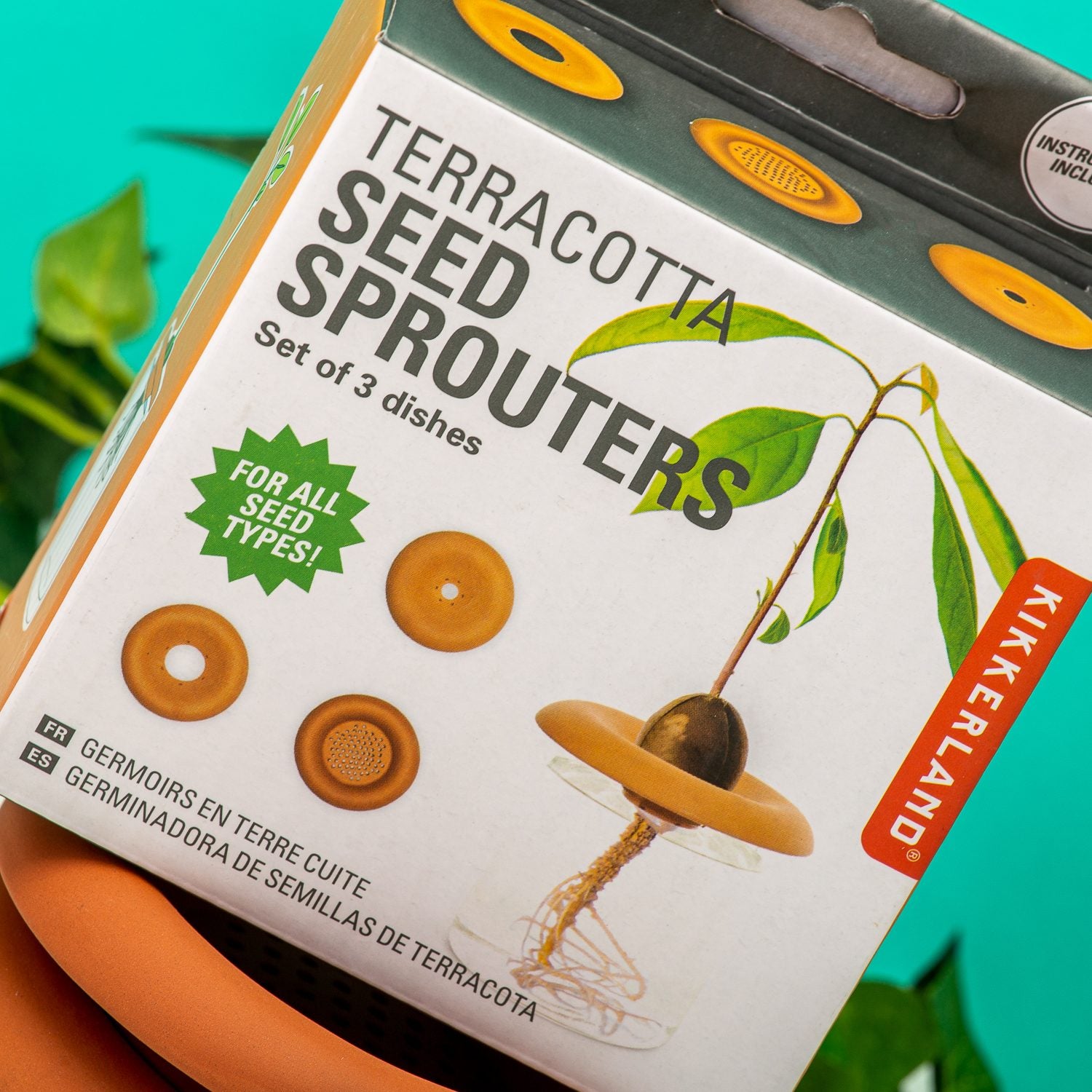 Terracotta Seed Sprouter