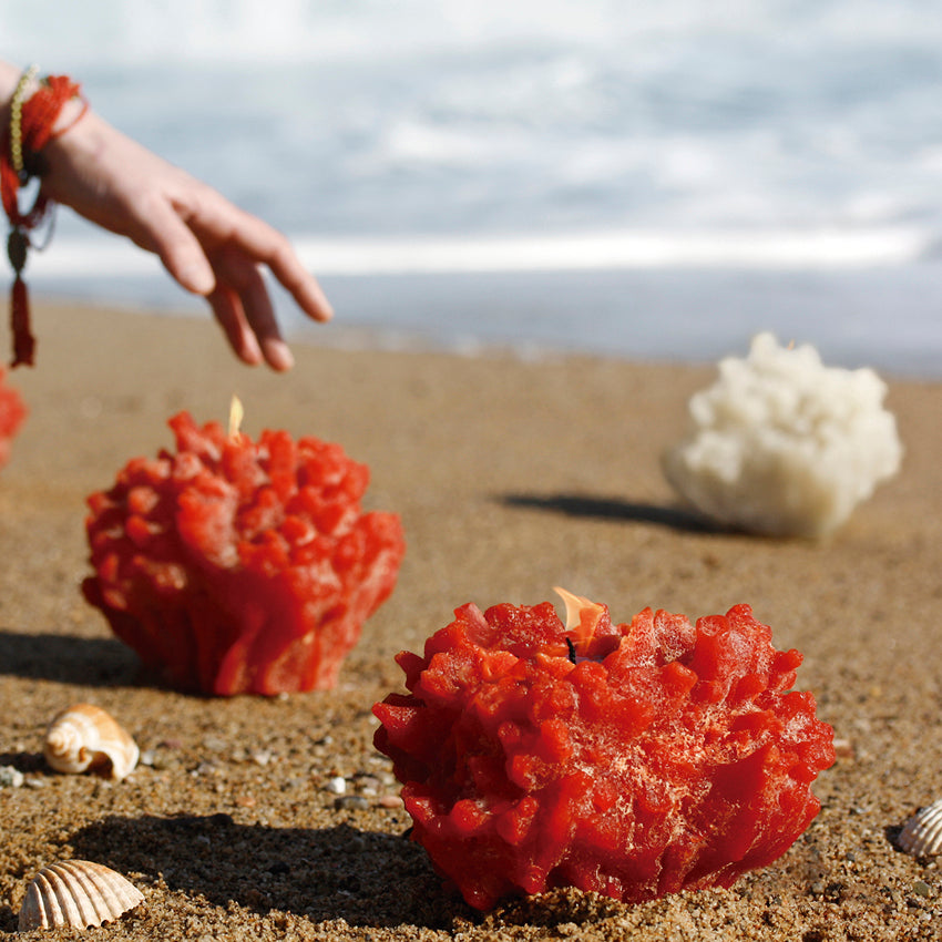 Cerabella Coral Candle