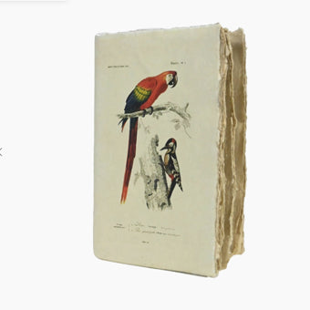 Epigram Notebook A5 Plain Bird and Lobster